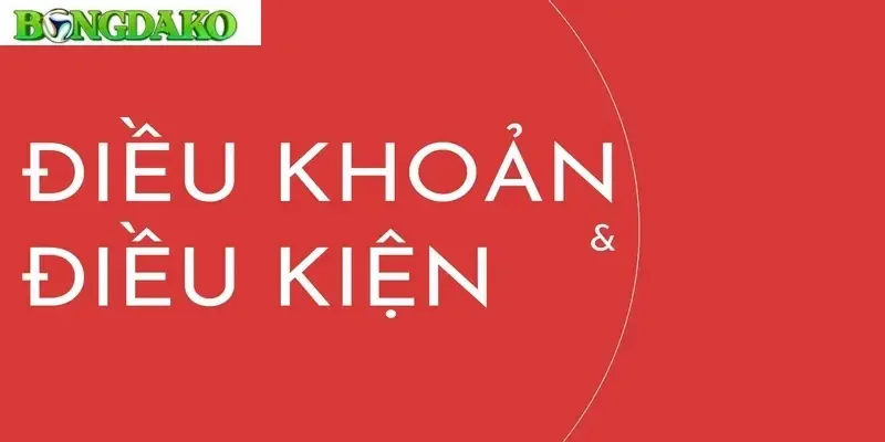 Điều khoản sử dụng về vấn đề đăng ký tài khoản thành viên tại Bongdako